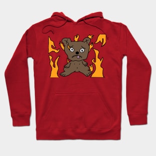 Flame Bear Hoodie